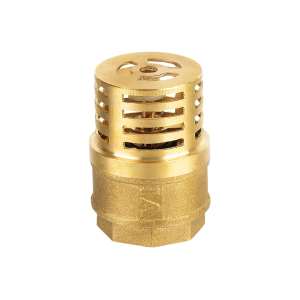 IA Foot Valve