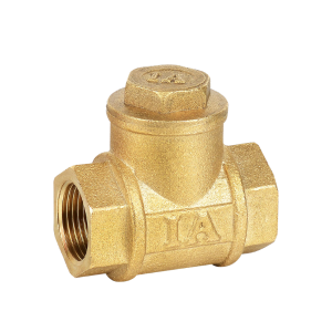 IA Non Return Valve