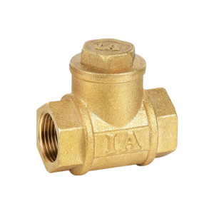 Non Return Valve