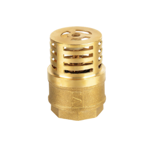 Foot Valve